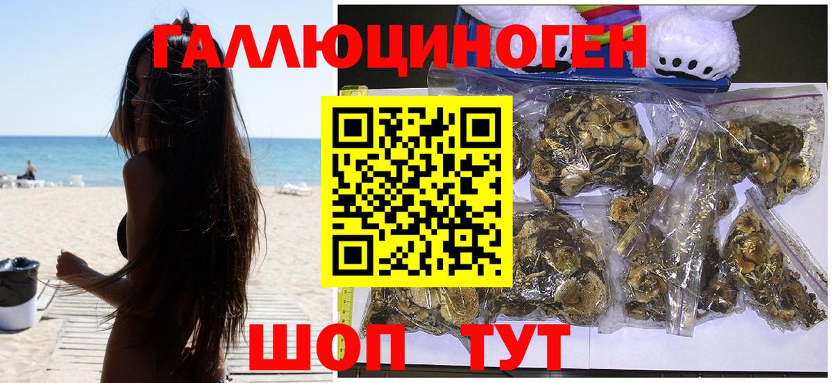 Елабуга  Галлюциногенные грибы ЛСД  Вход с VPN 